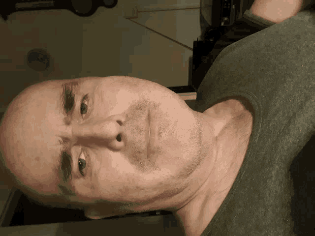 a bald man with a beard and a gray shirt looks down at the camera