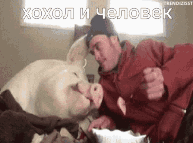 a man is petting a pig with the words xohol i chelovek above him