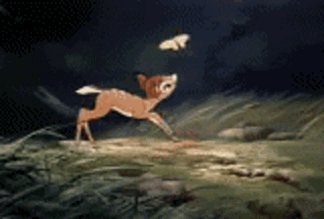 a cartoon of a deer running in a field with a butterfly flying in the background .