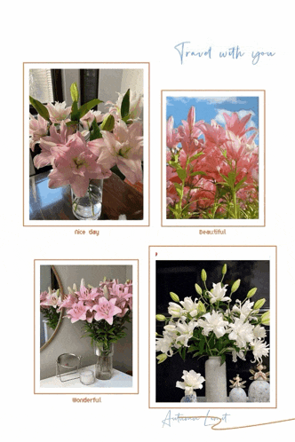 four pictures of flowers with the words travel with you on the bottom