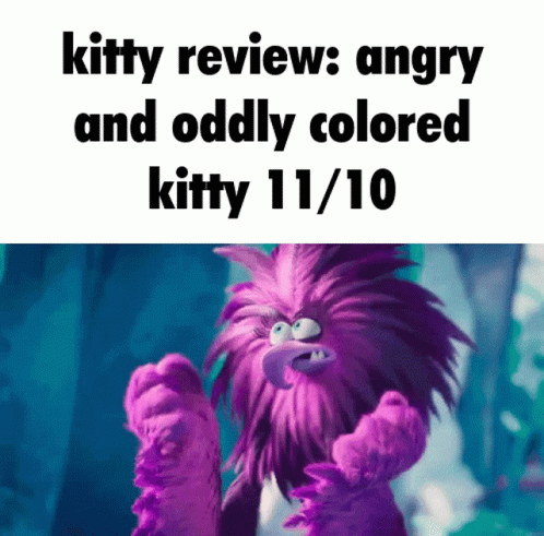 Kitty Review Angry Birds GIF - Kitty Review Angry Birds Zet GIFs
