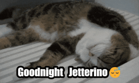 a cat laying on a bed with the words goodnight jetterino written above it