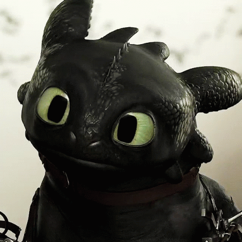 Toothless Noice GIF - Toothless Noice GIFs