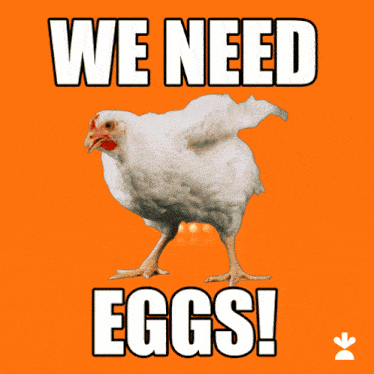 Eggs We Need Eggs GIF - Eggs We Need Eggs Wakey Wakey GIFs