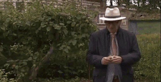 a man wearing a hat and tie is standing in front of a bush with the word jeanneke written on it