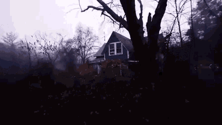 a green house with a tree in front of it is surrounded by trees in a foggy forest .