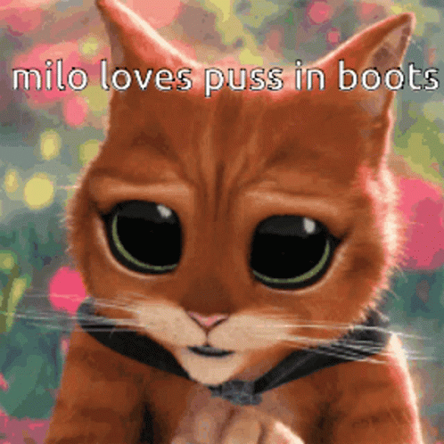Puss In Boots Milo GIF - Puss In Boots Milo GIFs