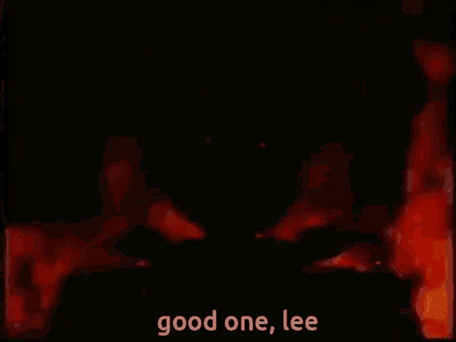 a silhouette of a person is standing in front of a fire with the words `` good one , lee '' .