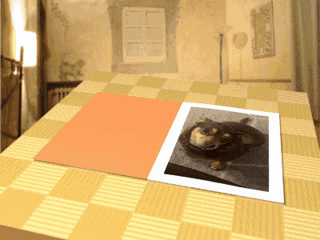 a picture of a dog on a table with a checkered table cloth
