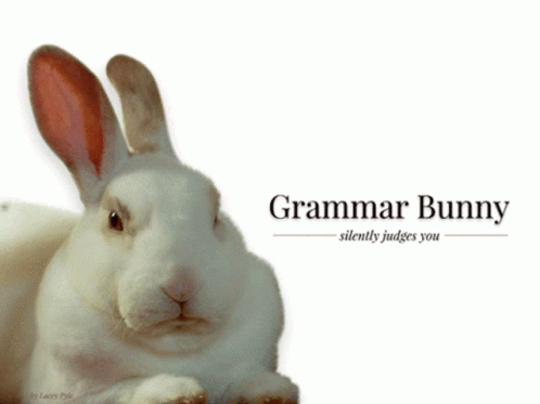 Grammar Bunny GIF