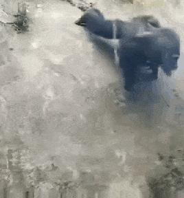 a person is swimming in a pool of water .