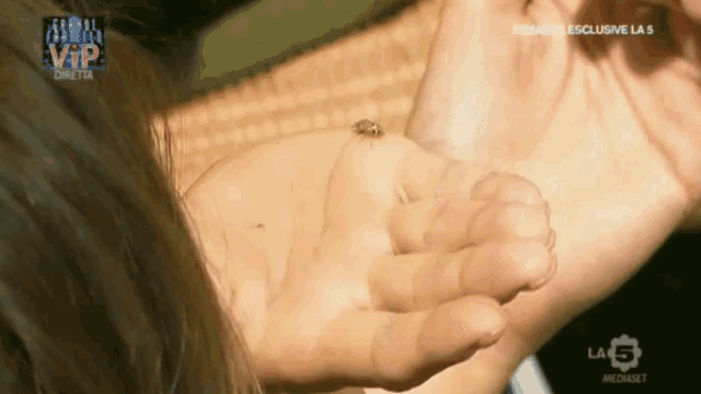 a ladybug is being held in someone 's hand in front of a tv screen that says vip