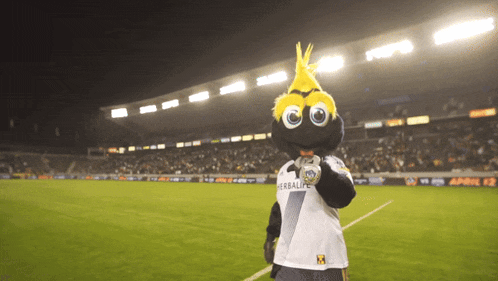 a mascot wearing a shirt that says herbalife stands on a soccer field