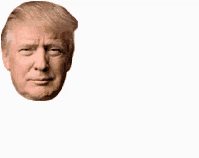 a picture of donald trump wearing sunglasses giving the middle finger