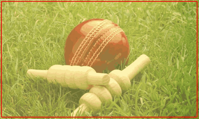 an ad for cricket scoreboard australia shows a cricket ball and bats