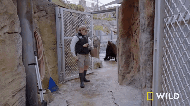 Lets Go National Geographic GIF - Lets Go National Geographic Jo GIFs