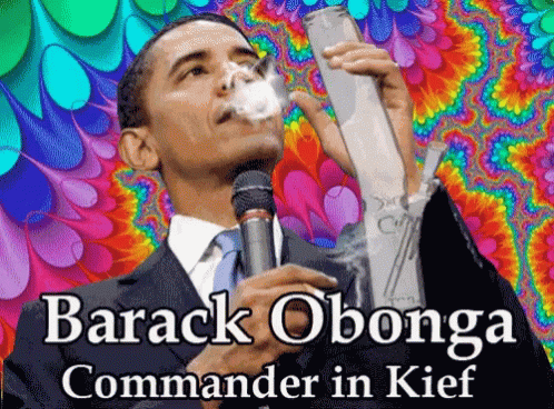 Boing Bongo GIF - Boing Bongo Obama GIFs