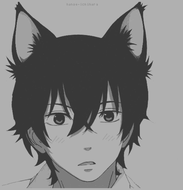 a black and white drawing of a boy with cat ears and the name hanae-ichihara on the bottom