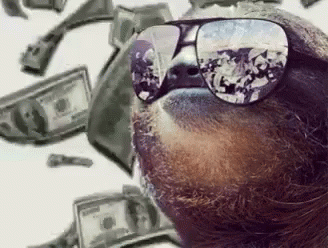 Sloth Money GIF - Sloth Money GIFs