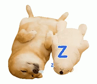 Shiba Inu Dog GIF - Shiba Inu Dog Cute GIFs