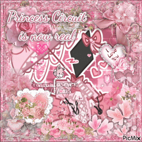 a princess circuit is now real picture with pink flowers