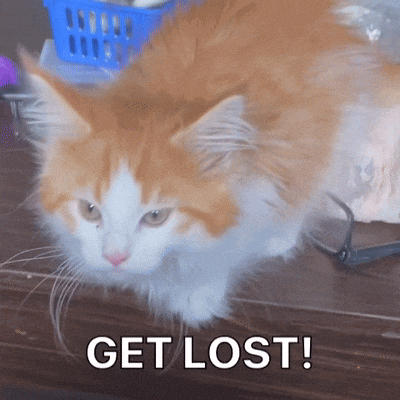 a fluffy orange and white cat laying on a wooden floor with the words get lost written below it