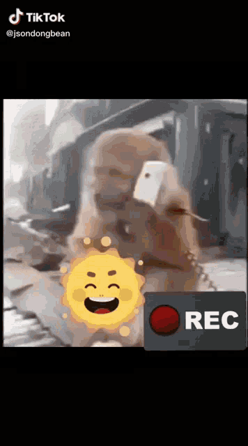 a monkey is holding a cell phone in front of a screen that says rec