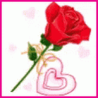 a red rose and a pink heart with the words `` i love you '' on it .