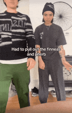 two people standing next to each other with the words had to pull out the finneas and pherb