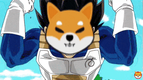 a cartoon drawing of a shiba inu in a blue and white armor
