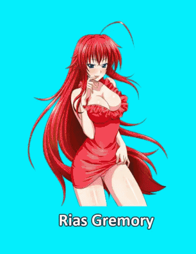 rias gremory is the name of the anime character shown