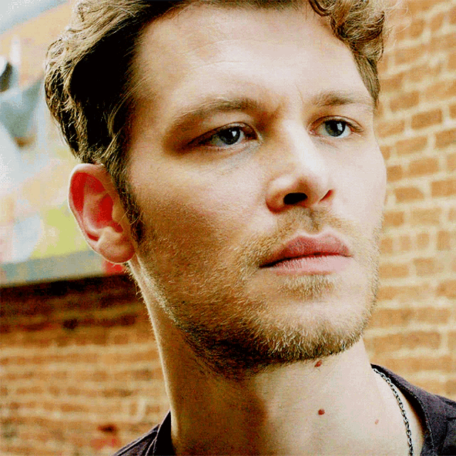 Klaus Mikaelson Brother Blood GIF - Klaus Mikaelson Brother Blood GIFs