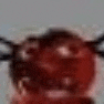 a close up of a person 's face with a spider web around it .