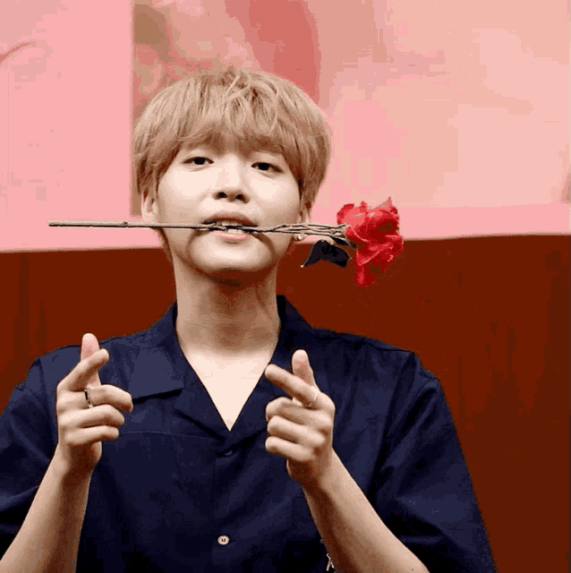 a man in a blue shirt is holding a rose in his mouth