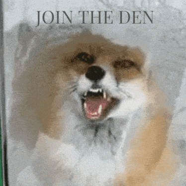 Join The Den Fox GIF - Join The Den Fox GIFs
