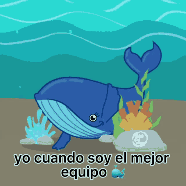 a picture of a whale with the words yo cuando soy el mejor equipo