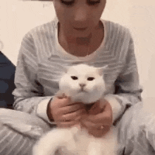 a woman is sitting on the floor holding a white cat in her arms .
