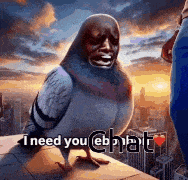 a pigeon with a man 's face and the words i need you chat on the bottom