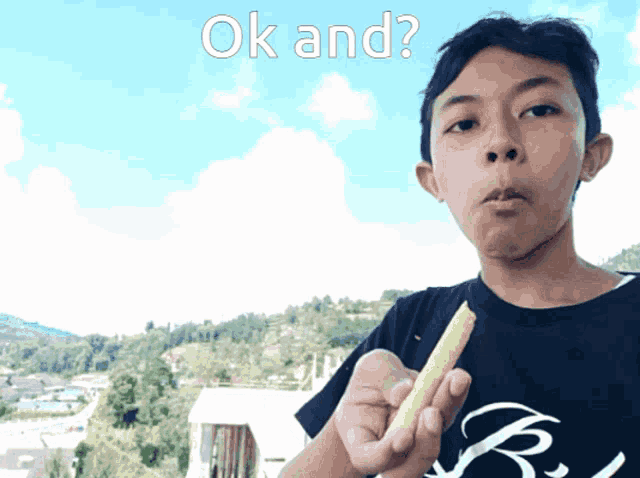 a boy eating a french fry with the words ok and written on the bottom