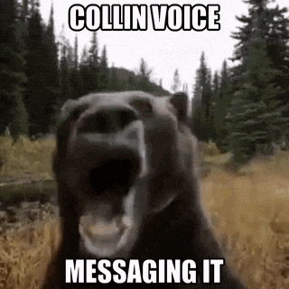 a bear is standing in a field with its mouth open and a caption that says collin voice messaging it .