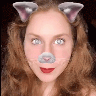Lillee Jean Meow GIF - Lillee Jean Meow Kitty GIFs