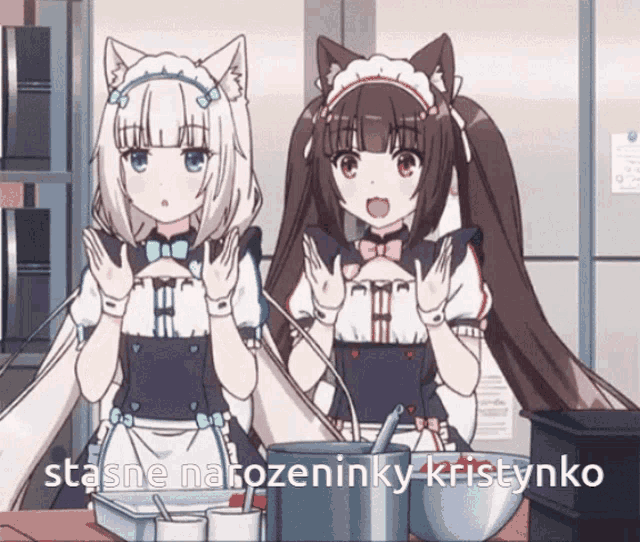 a couple of anime girls standing next to each other with the words stasne narozeninky kristynko on the bottom