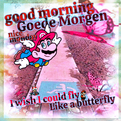 a cartoon of mario flying through the air with the words " i wish i could fly like a butterfly " below him