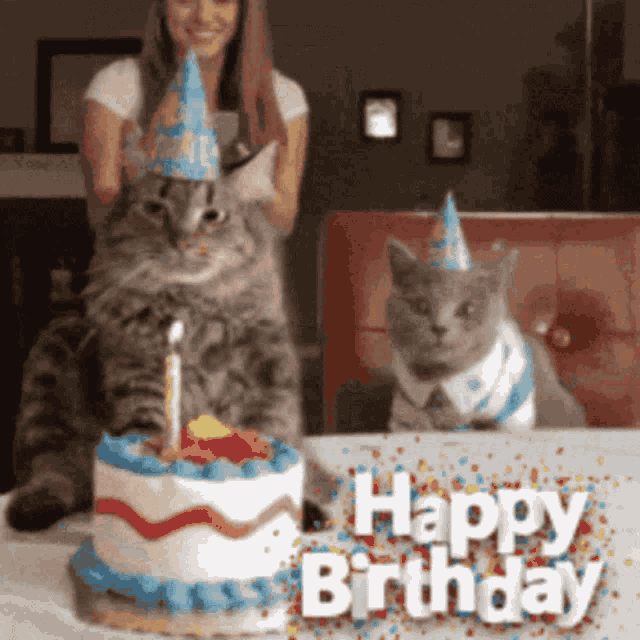 two cats wearing party hats sit in front of a birthday cake