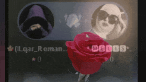 a red rose is in front of a blurred image of a woman