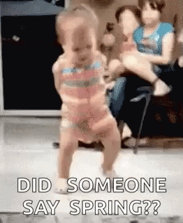 Did Someone Say Spring Baby GIF - Did Someone Say Spring Baby Dancing GIFs