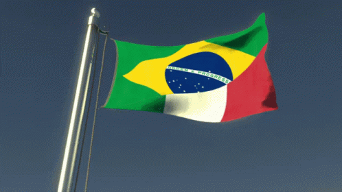Brazitaly Brazil Flag GIF