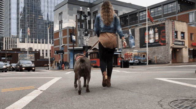 Streetwalk Dog GIF - Streetwalk Dog Girl GIFs