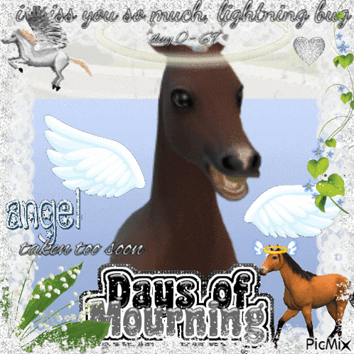 a picture of a horse with white wings and the words days of mourning
