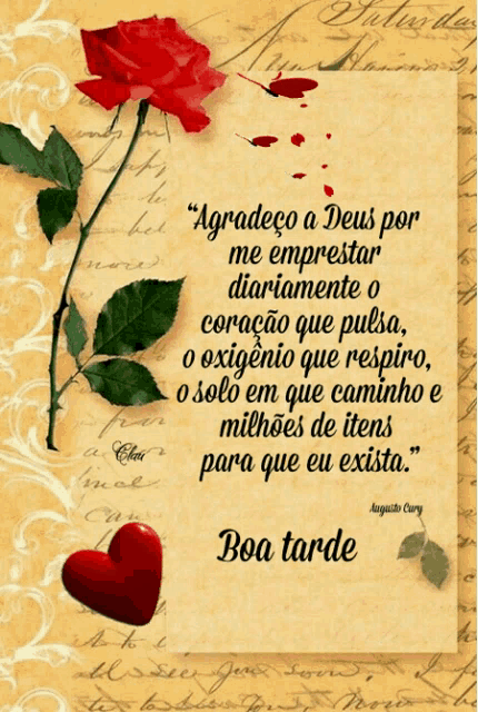 a greeting card with a red rose and a heart says boa tarde